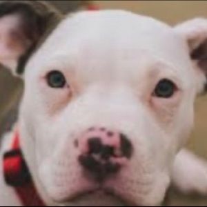 Meet your Posher, Ellie